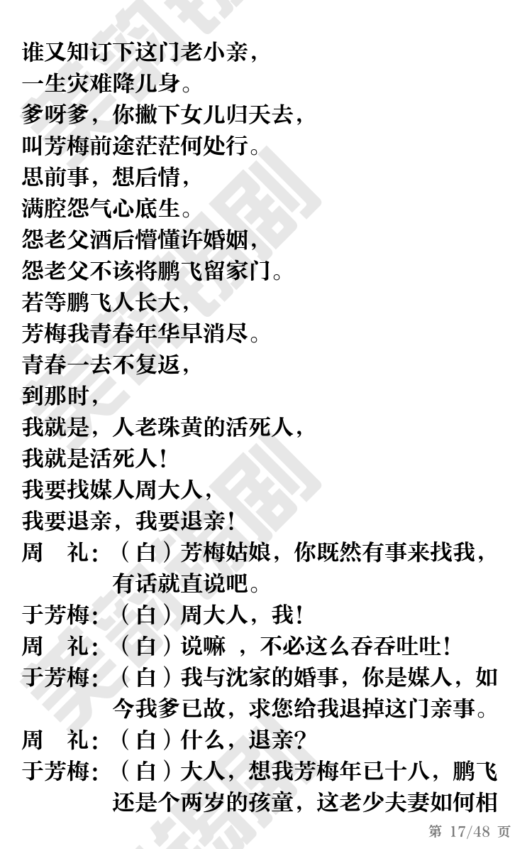 第17页