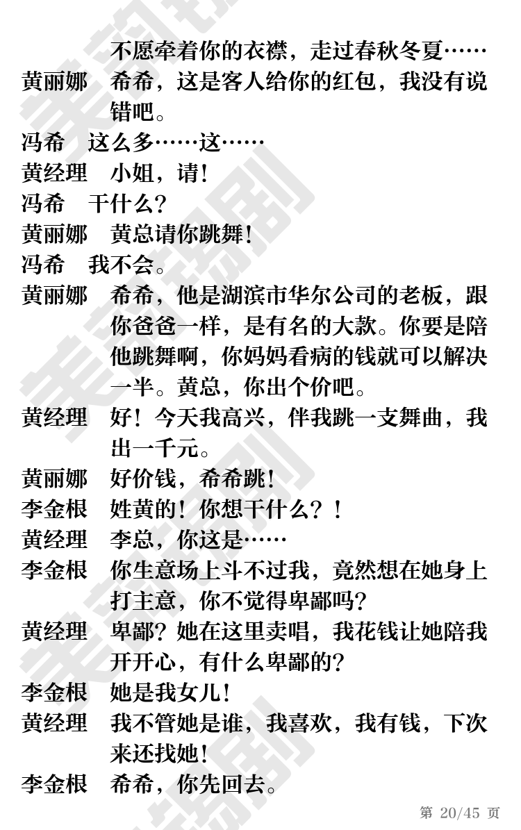 第20页