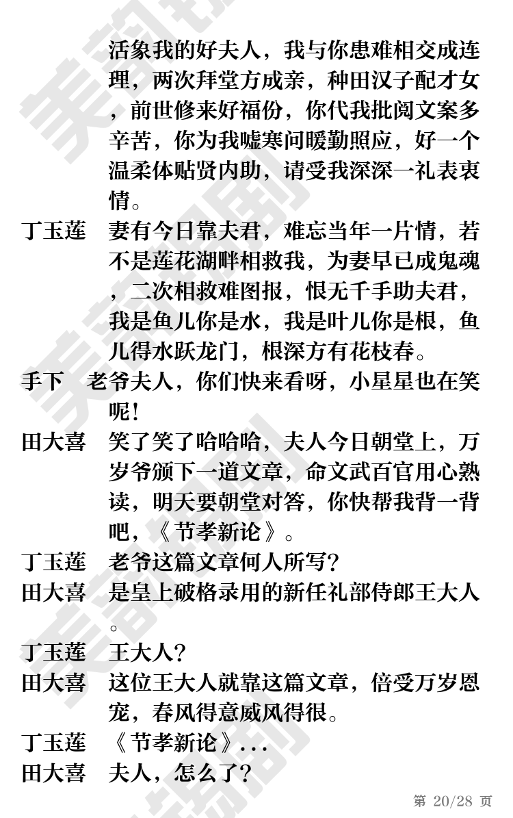 第20页