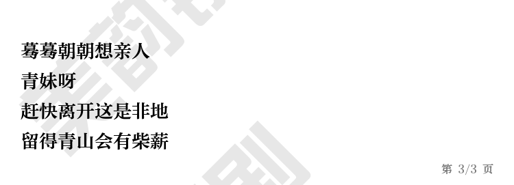 第3页