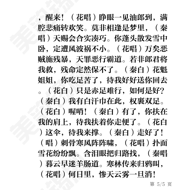 第5页